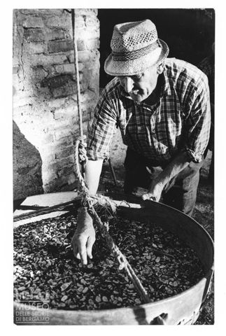 Lavorazione agricola tradizionale nelle Marche