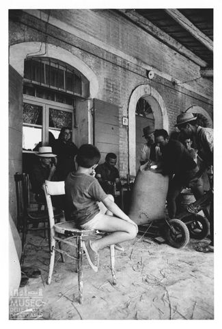 Scena di vita contadina nelle Marche