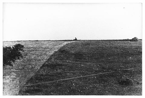Campagna marchigiana