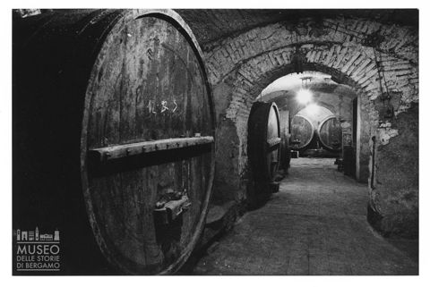 Cantina marchigiana