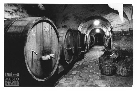 Cantina marchigiana