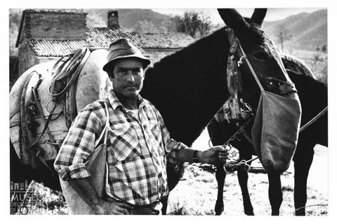 Ritratto di un uomo con cavallo nelle Marche