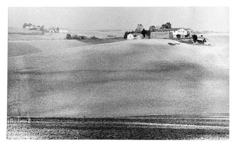 Paesaggio marchigiano