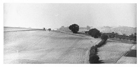 Paesaggio marchigiano