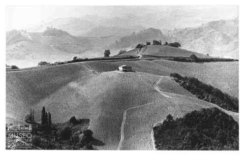 Paesaggio marchigiano