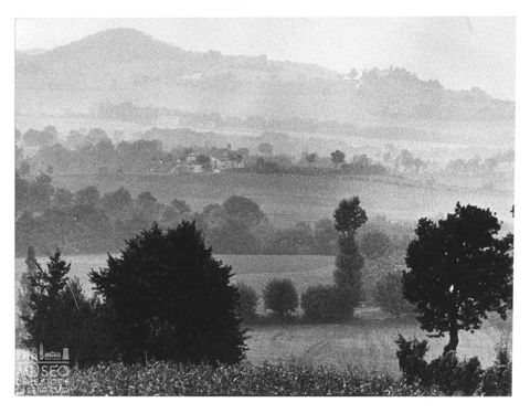 Paesaggio marchigiano