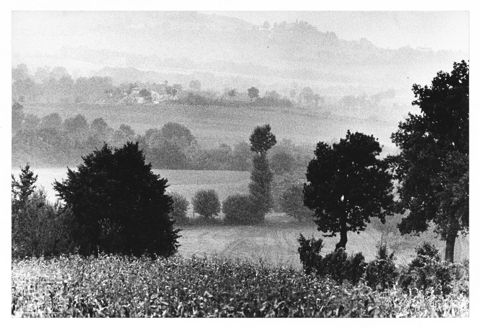 Paesaggio marchigiano