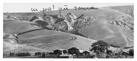 Paesaggio marchigiano