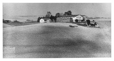 Paesaggio marchigiano