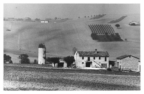 Paesaggio marchigiano