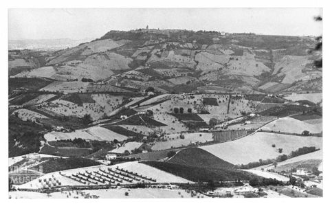 Paesaggio marchigiano