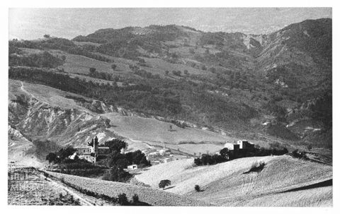 Paesaggio marchigiano