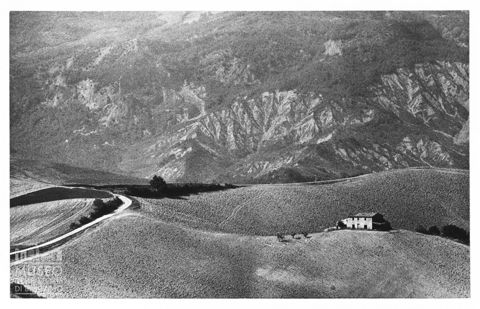 Paesaggio marchigiano