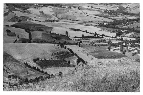 Paesaggio marchigiano