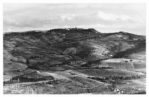 Paesaggio marchigiano