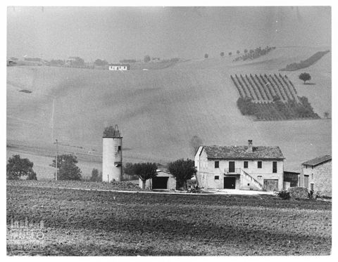 Paesaggio marchigiano