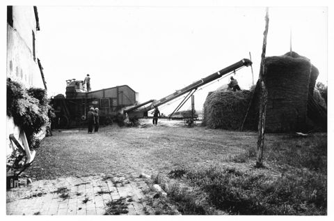 Costruzione di covoni di fieno nelle Marche