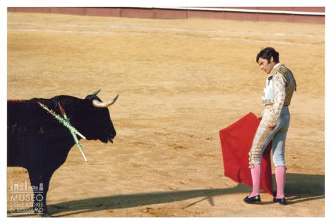 Toro e torero durante una corrida