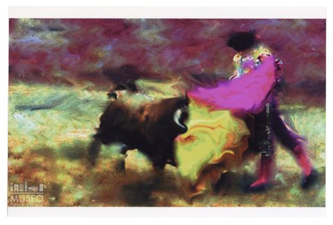 Toro e torero durante una corrida