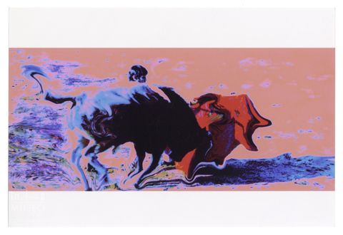 Toro e torero durante una corrida