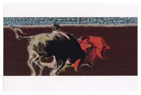 Toro e torero durante una corrida