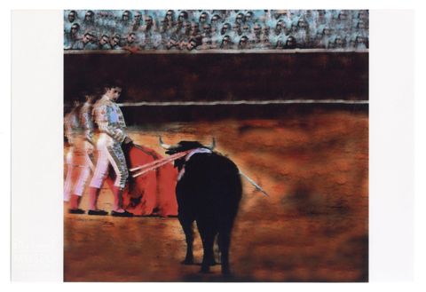 Toro e torero durante una corrida
