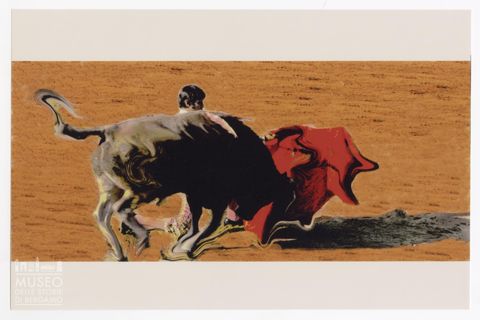 Toro e torero durante una corrida