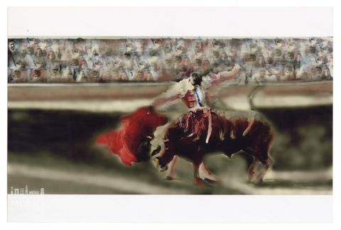 Toro e torero durante una corrida