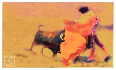 Toro e torero durante una corrida