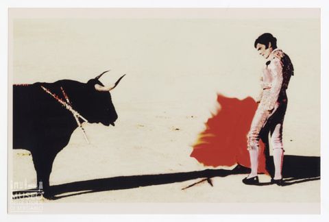 Toro e torero durante una corrida