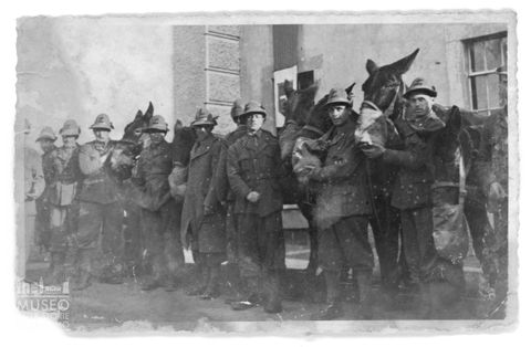 Gruppo di alpini