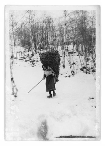 Ritratto di una donna in un bosco