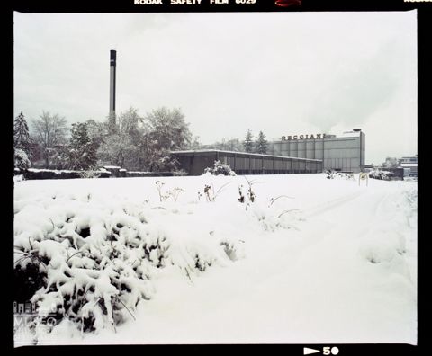 Esterni dello stabilimento Reggiani