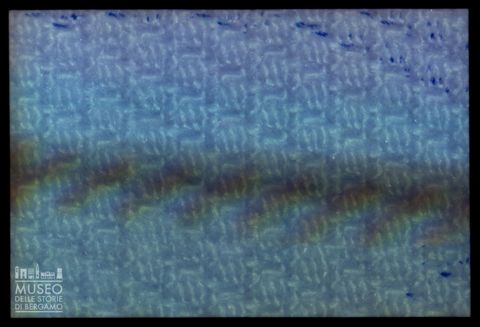 Tessuti al microscopio