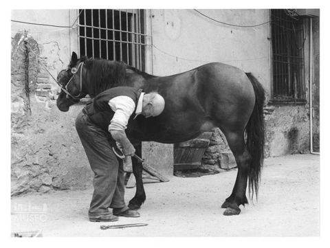 Un maniscalco al lavoro