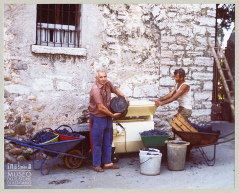 Vinificazione a Località San Nicola presso Almenno San Bartolomeo