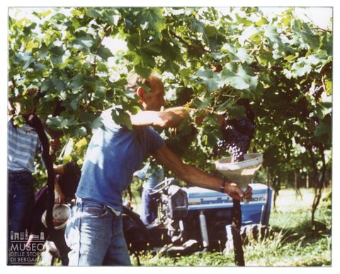 Azienda agricola Lurani Cernuschi ad Almenno San Salvatore