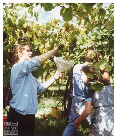 Azienda agricola Lurani Cernuschi ad Almenno San Salvatore