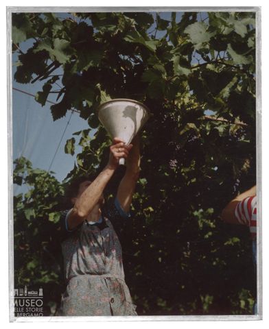 Azienda agricola Lurani Cernuschi ad Almenno San Salvatore