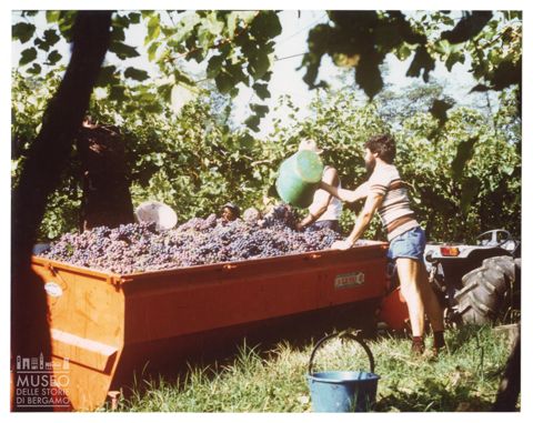 Azienda agricola Lurani Cernuschi ad Almenno San Salvatore
