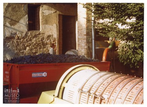 Azienda agricola Lurani Cernuschi ad Almenno San Salvatore