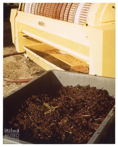 Azienda agricola Lurani Cernuschi ad Almenno San Salvatore
