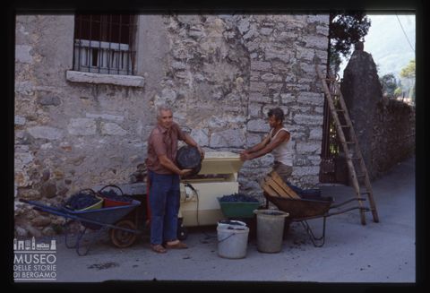 Vinificazione a Località San Nicola presso Almenno San Bartolomeo