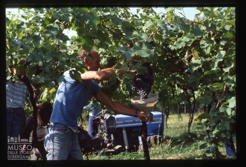 Azienda agricola Lurani Cernuschi ad Almenno San Salvatore
