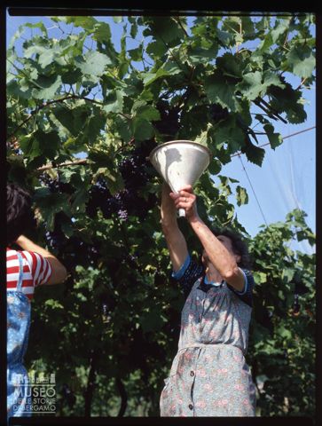 Azienda agricola Lurani Cernuschi ad Almenno San Salvatore