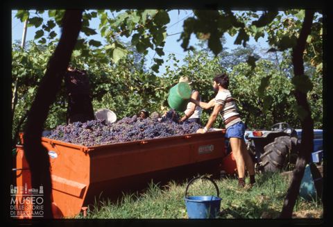 Azienda agricola Lurani Cernuschi ad Almenno San Salvatore