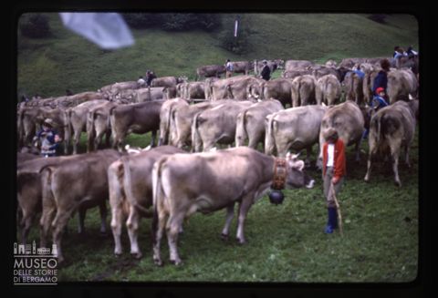 Fiera del Bestiame a Valtorta
