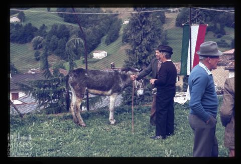 Fiera Bovina Zootecnica di Serina