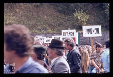 Fiera Bovina Zootecnica di Serina