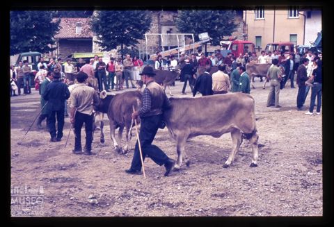 Fiera Bovina Zootecnica di Serina